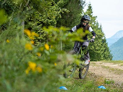 The Angel Bike Park offers a real alternative for those seeking adrenaline and fun, with two routes, Cervo for beginners and Lince, longer, for the more experienced. Tarvisio, Piana dell'Angelo.