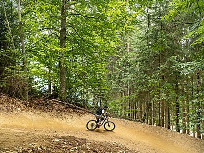 The Angel Bike Park offers a real alternative for those seeking adrenaline and fun, with two routes, Cervo for beginners and Lince, longer, for the more experienced. Tarvisio, Piana dell'Angelo.