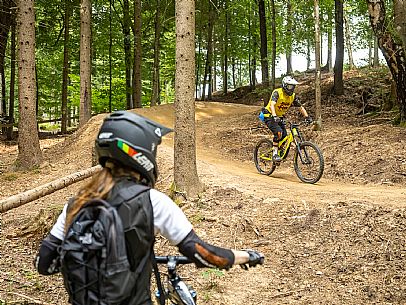 The Angel Bike Park offers a real alternative for those seeking adrenaline and fun, with two routes, Cervo for beginners and Lince, longer, for the more experienced. Tarvisio, Piana dell'Angelo.