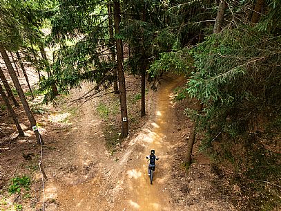 The Angel Bike Park offers a real alternative for those seeking adrenaline and fun, with two routes, Cervo for beginners and Lince, longer, for the more experienced. Tarvisio, Piana dell'Angelo.