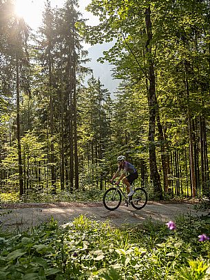 Giro d'Italia bike ride Vabruna - Monte Lussari, Saisera Valley, Tarvisio