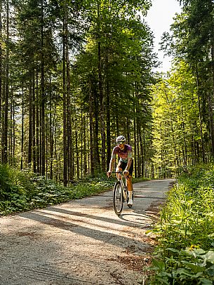 Giro d'Italia bike ride Vabruna - Monte Lussari, Saisera Valley, Tarvisio