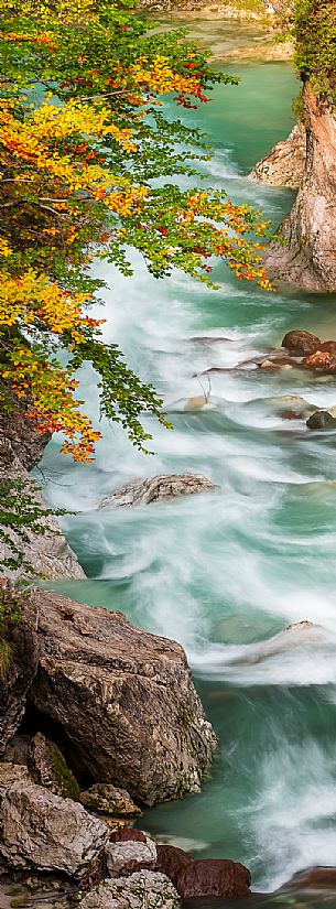 Slizza stream gorge in autumn, Tarvisio, Julian Alps