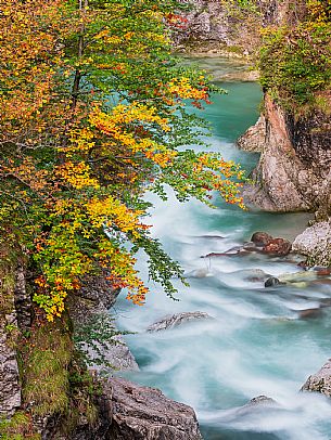 Slizza stream gorge in autumn, Tarvisio, Julian Alps