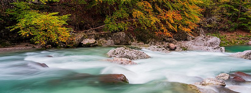Slizza stream gorge in autumn, Tarvisio, Julian Alps