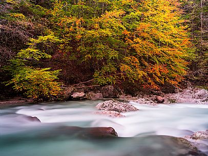 Slizza stream gorge in autumn, Tarvisio, Julian Alps