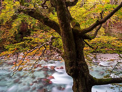Slizza stream gorge in autumn, Tarvisio, Julian Alps