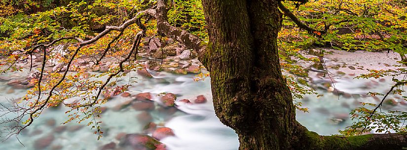 Slizza stream gorge in autumn, Tarvisio, Julian Alps