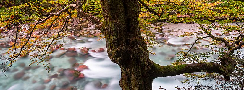 Slizza stream gorge in autumn, Tarvisio, Julian Alps