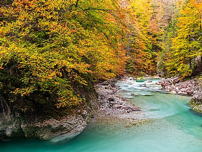 Slizza stream gorge in autumn, Tarvisio, Julian Alps Slizza stream gorge in autumn, Tarvisio, Julian Alps