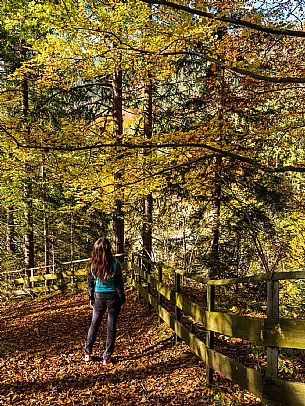 Slizza stream gorge in autumn, Tarvisio, Julian Alps Slizza stream gorge in autumn, Tarvisio, Julian Alps