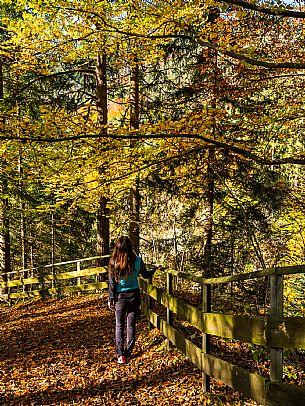 Slizza stream gorge in autumn, Tarvisio, Julian Alps Slizza stream gorge in autumn, Tarvisio, Julian Alps