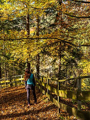 Slizza stream gorge in autumn, Tarvisio, Julian Alps Slizza stream gorge in autumn, Tarvisio, Julian Alps