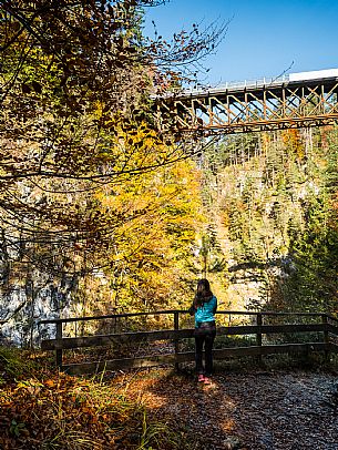 Slizza stream gorge in autumn, Tarvisio, Julian Alps Slizza stream gorge in autumn, Tarvisio, Julian Alps