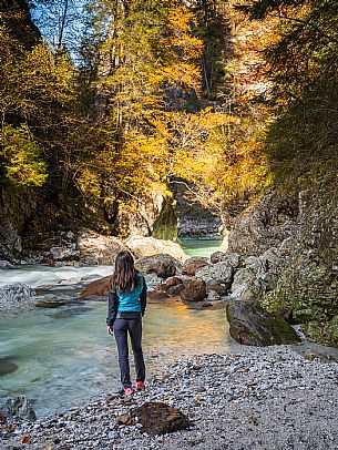 Slizza stream gorge in autumn, Tarvisio, Julian Alps Slizza stream gorge in autumn, Tarvisio, Julian Alps