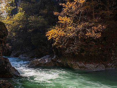 Slizza stream gorge in autumn, Tarvisio, Julian Alps Slizza stream gorge in autumn, Tarvisio, Julian Alps
