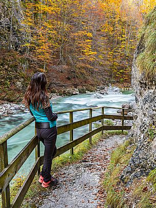 Slizza stream gorge in autumn, Tarvisio, Julian Alps Slizza stream gorge in autumn, Tarvisio, Julian Alps