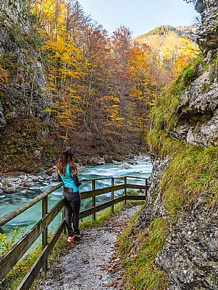 Slizza stream gorge in autumn, Tarvisio, Julian Alps Slizza stream gorge in autumn, Tarvisio, Julian Alps