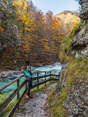 Slizza stream gorge in autumn, Tarvisio, Julian Alps Slizza stream gorge in autumn, Tarvisio, Julian Alps