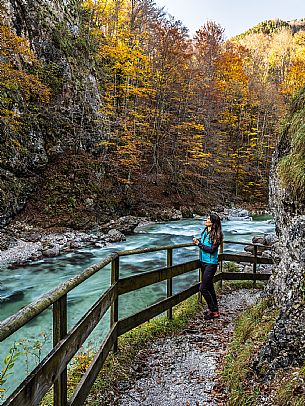 Slizza stream gorge in autumn, Tarvisio, Julian Alps