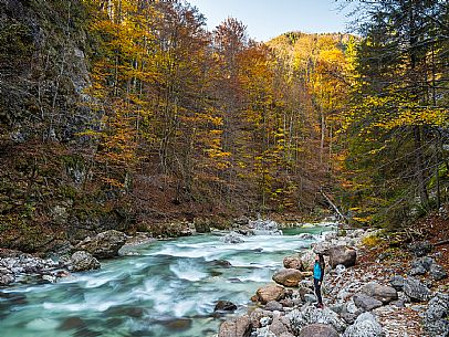 Slizza stream gorge in autumn, Tarvisio, Julian Alps Slizza stream gorge in autumn, Tarvisio, Julian Alps