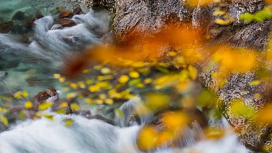Slizza stream gorge in autumn, Tarvisio, Julian Alps Slizza stream gorge in autumn, Tarvisio, Julian Alps