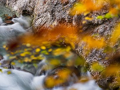 Slizza stream gorge in autumn, Tarvisio, Julian Alps Slizza stream gorge in autumn, Tarvisio, Julian Alps