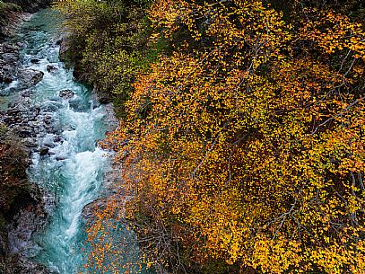 Slizza stream gorge in autumn, Tarvisio, Julian Alps Slizza stream gorge in autumn, Tarvisio, Julian Alps
