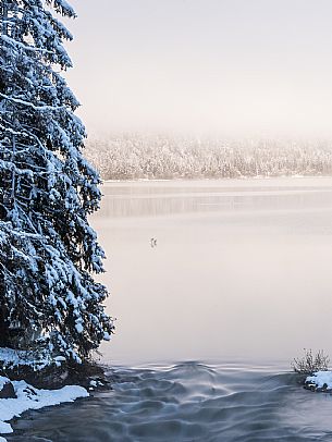 A short distance from the Slovenian border, Lake Predil (or Raibl) covers an ancient glacial basin and is the second largest natural lake in the region after Lake Tre Cime.
Nestled at the foot of the slender peaks of the Julian Alps, the basin is fed by the waters of the many streams that descend from the surrounding mountains. Thanks to their purity, these tributaries give the waters an intense green-blue colour.

Translated with DeepL.com (free version)