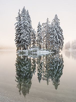 A short distance from the Slovenian border, Lake Predil (or Raibl) covers an ancient glacial basin and is the second largest natural lake in the region after Lake Tre Cime.
Nestled at the foot of the slender peaks of the Julian Alps, the basin is fed by the waters of the many streams that descend from the surrounding mountains. Thanks to their purity, these tributaries give the waters an intense green-blue colour.

Translated with DeepL.com (free version)