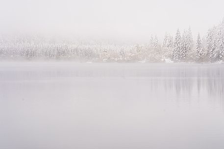 A short distance from the Slovenian border, Lake Predil (or Raibl) covers an ancient glacial basin and is the second largest natural lake in the region after Lake Tre Cime.
Nestled at the foot of the slender peaks of the Julian Alps, the basin is fed by the waters of the many streams that descend from the surrounding mountains. Thanks to their purity, these tributaries give the waters an intense green-blue colour.

Translated with DeepL.com (free version)