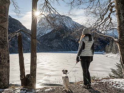 A short distance from the Slovenian border, Lake Predil (or Raibl) covers an ancient glacial basin and is the second largest natural lake in the region after Lake Tre Cime.
Nestled at the foot of the slender peaks of the Julian Alps, the basin is fed by the waters of the many streams that descend from the surrounding mountains. Thanks to their purity, these tributaries give the waters an intense green-blue colour.

Translated with DeepL.com (free version)