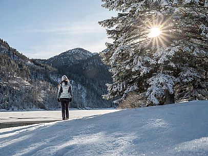 A short distance from the Slovenian border, Lake Predil (or Raibl) covers an ancient glacial basin and is the second largest natural lake in the region after Lake Tre Cime.
Nestled at the foot of the slender peaks of the Julian Alps, the basin is fed by the waters of the many streams that descend from the surrounding mountains. Thanks to their purity, these tributaries give the waters an intense green-blue colour.

Translated with DeepL.com (free version)