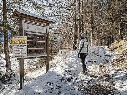 A short distance from the Slovenian border, Lake Predil (or Raibl) covers an ancient glacial basin and is the second largest natural lake in the region after Lake Tre Cime.
Nestled at the foot of the slender peaks of the Julian Alps, the basin is fed by the waters of the many streams that descend from the surrounding mountains. Thanks to their purity, these tributaries give the waters an intense green-blue colour.

Translated with DeepL.com (free version)