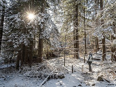 A short distance from the Slovenian border, Lake Predil (or Raibl) covers an ancient glacial basin and is the second largest natural lake in the region after Lake Tre Cime.
Nestled at the foot of the slender peaks of the Julian Alps, the basin is fed by the waters of the many streams that descend from the surrounding mountains. Thanks to their purity, these tributaries give the waters an intense green-blue colour.

Translated with DeepL.com (free version)