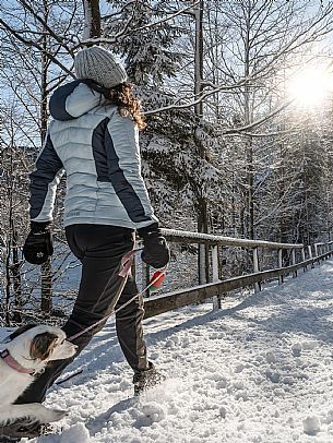 A short distance from the Slovenian border, Lake Predil (or Raibl) covers an ancient glacial basin and is the second largest natural lake in the region after Lake Tre Cime.
Nestled at the foot of the slender peaks of the Julian Alps, the basin is fed by the waters of the many streams that descend from the surrounding mountains. Thanks to their purity, these tributaries give the waters an intense green-blue colour.

Translated with DeepL.com (free version)