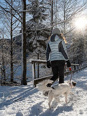 A short distance from the Slovenian border, Lake Predil (or Raibl) covers an ancient glacial basin and is the second largest natural lake in the region after Lake Tre Cime.
Nestled at the foot of the slender peaks of the Julian Alps, the basin is fed by the waters of the many streams that descend from the surrounding mountains. Thanks to their purity, these tributaries give the waters an intense green-blue colour.

Translated with DeepL.com (free version)