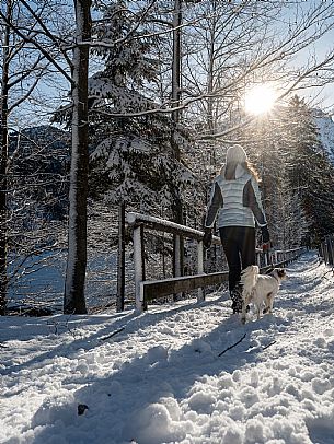 A short distance from the Slovenian border, Lake Predil (or Raibl) covers an ancient glacial basin and is the second largest natural lake in the region after Lake Tre Cime.
Nestled at the foot of the slender peaks of the Julian Alps, the basin is fed by the waters of the many streams that descend from the surrounding mountains. Thanks to their purity, these tributaries give the waters an intense green-blue colour.

Translated with DeepL.com (free version)