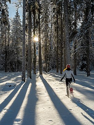 Trekking and landscapes in Fusine lakes area 