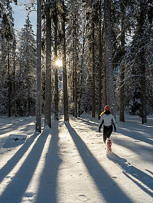 Trekking and landscapes in Fusine lakes area 