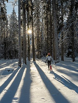 Trekking and landscapes in Fusine lakes area 