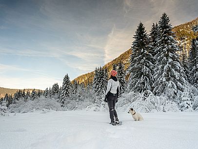 Trekking and landscapes in Fusine lakes area 