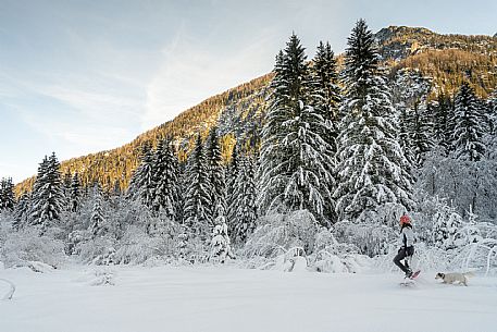 Trekking and landscapes in Fusine lakes area 