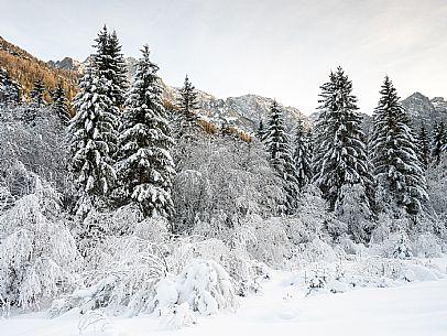 Trekking and landscapes in Fusine lakes area 