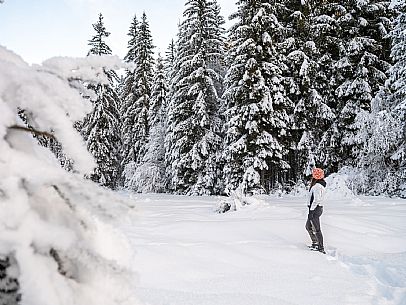 Trekking and landscapes in Fusine lakes area 