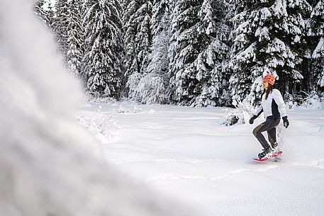 Trekking and landscapes in Fusine lakes area 