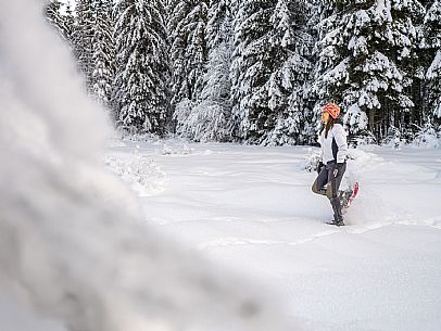 Trekking and landscapes in Fusine lakes area 