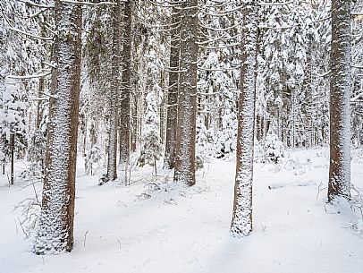 Trekking and landscapes in Fusine lakes area 
