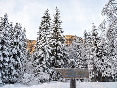 Trekking and landscapes in Fusine lakes area 