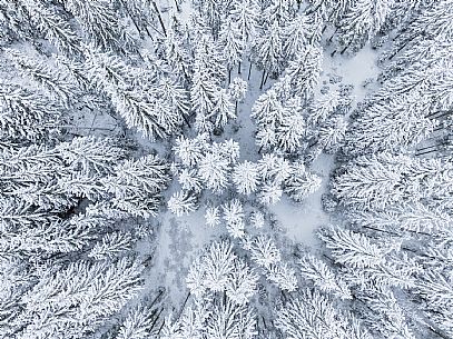 Trekking and landscapes in Fusine lakes area 